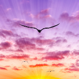 NY Day  (Instagram Post)