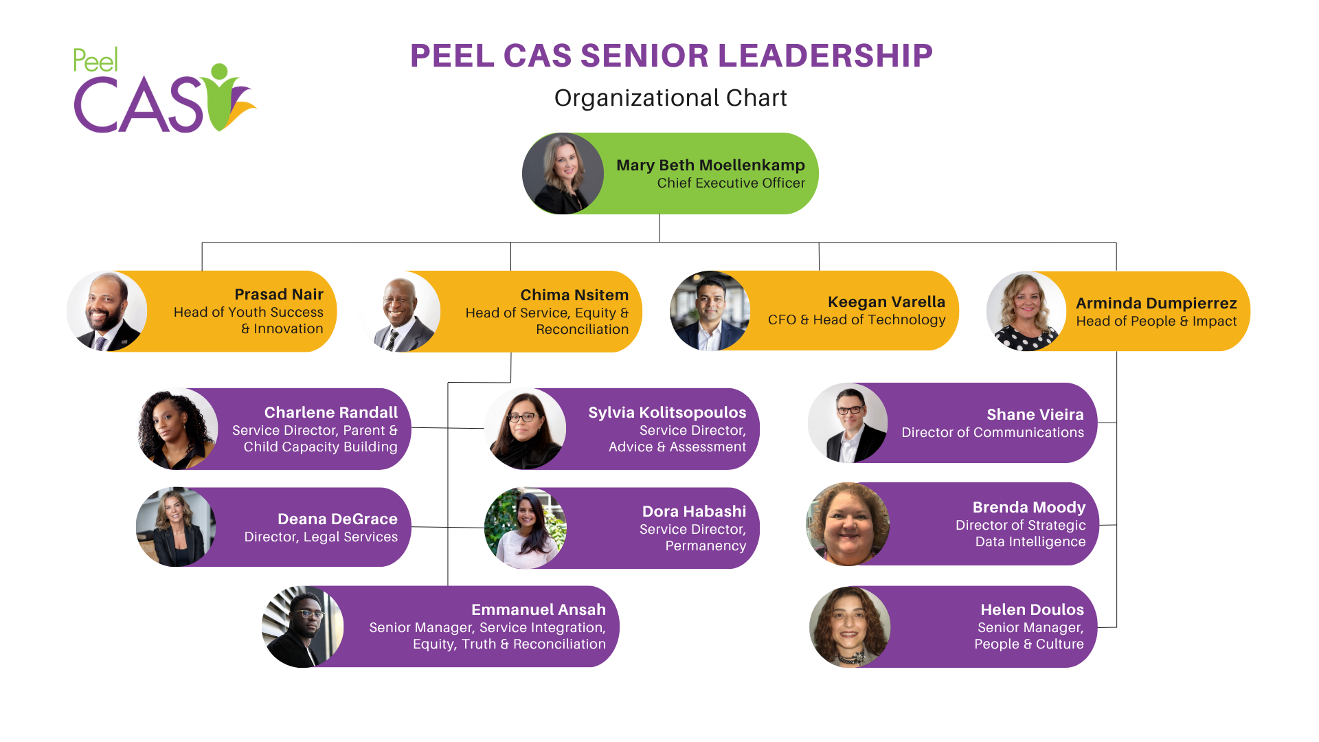 Senior Leadership Team organizational chart