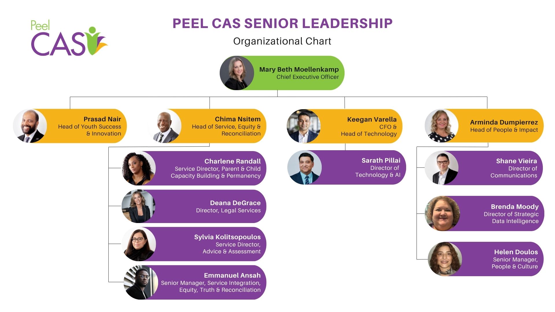 SLT Org Chart