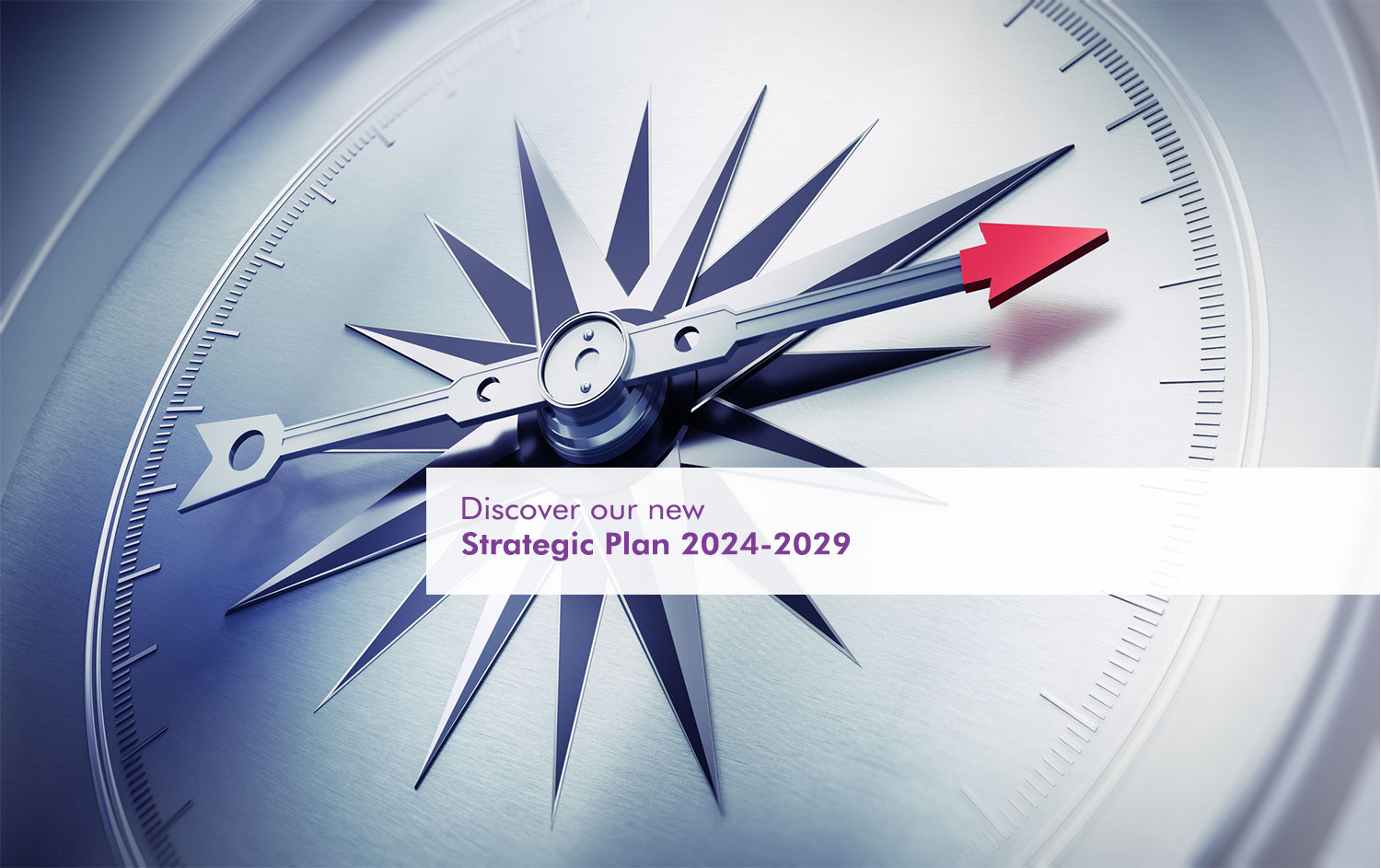 Discover our new Strategic Plan